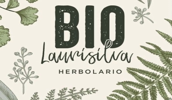 1139/laurisilvabio01.jpg