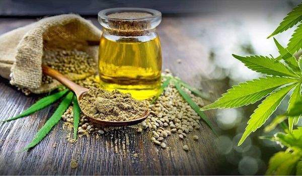 356/hempshop1.jpg