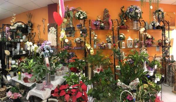 441/flores02.jpg