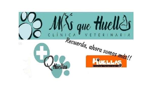 511/masquehuellas01.jpg