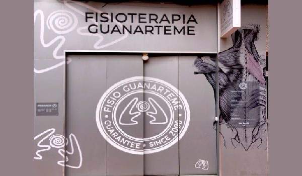 786/fisioguanarteme00.jpg