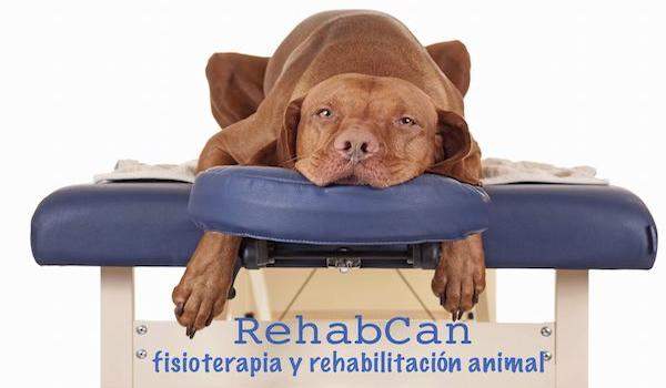 94/1_rehabcan1.jpg